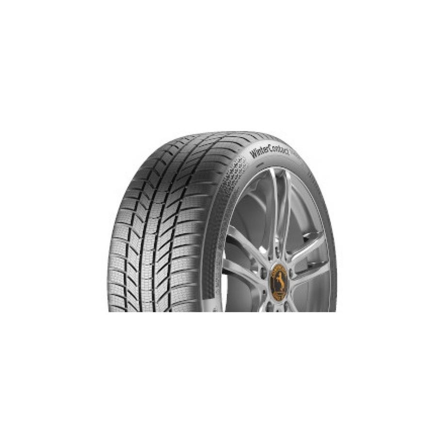 205/55 R 17 WINTERCONTACT TS 870P XL 95V