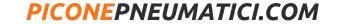 PiconePneumatici.com logo